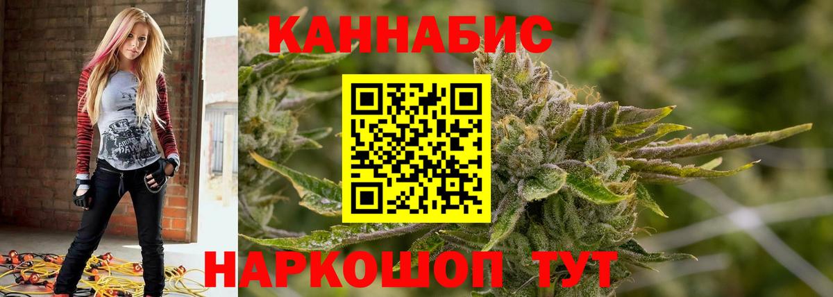 Конопля сатива Лабытнанги